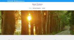 Desktop Screenshot of bionicventures.com